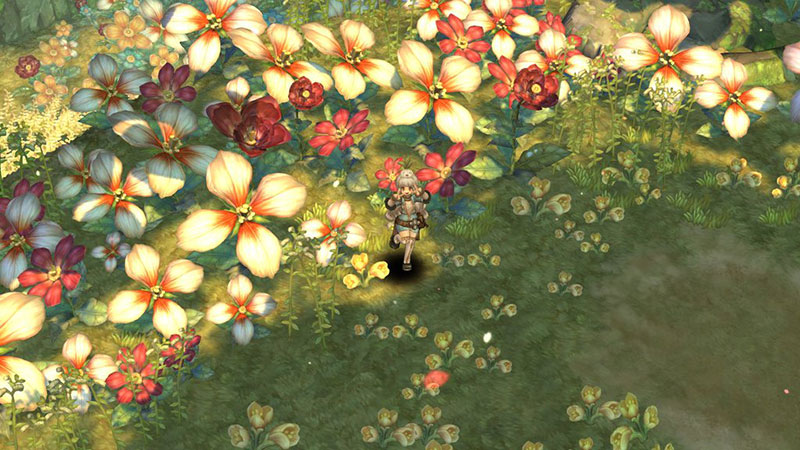 Tree of Savior (ツリーオブセイバー) ToS　可愛いフィールドのプレイスクリーンショット